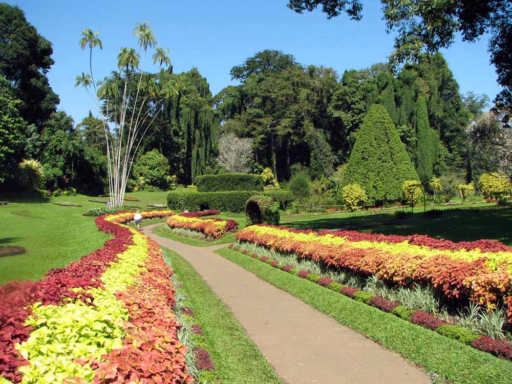botanical gardens seychelles